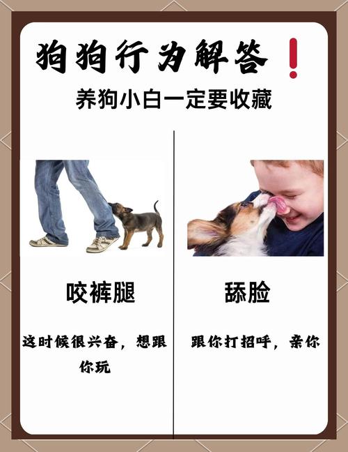 7777788888新版跑狗资料和7岁男孩遭3只犬撕咬与7岁男孩遭3只犬撕咬怎么办