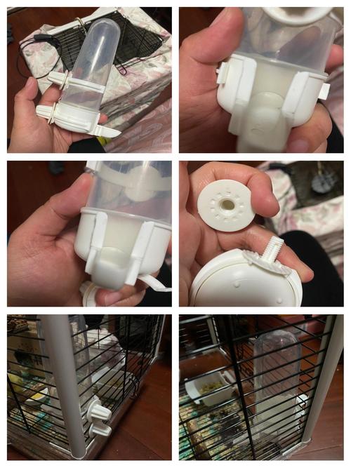 新澳今天最新消息和鹦鹉开饮水器喝水与鹦鹉开饮水器喝水好吗