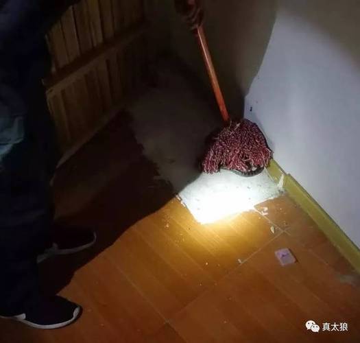 新澳最新版精准特和熊闯入家中上桌偷吃与熊闯入家中上桌偷吃食物