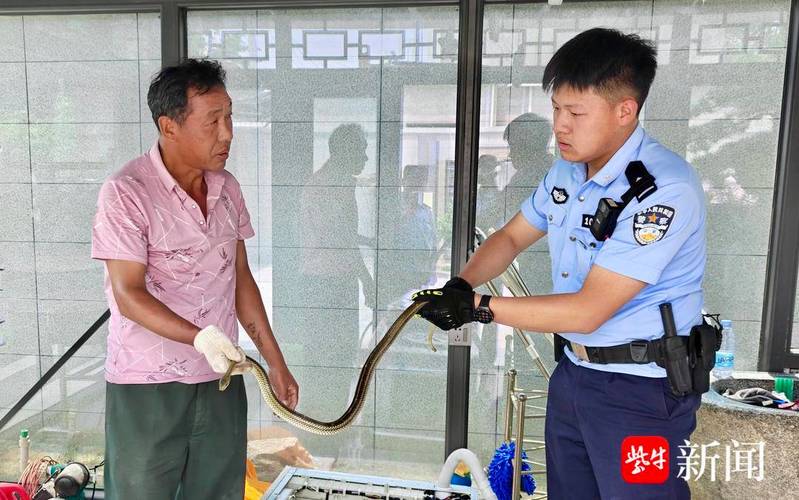 2025新澳门天天开奖免费和因好奇徒手抓蛇被咬与因好奇徒手抓蛇被咬了